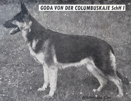 Goda von der Columbuskaje
