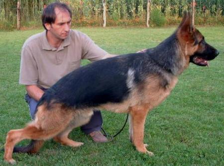 Jimi in Regnum Marianum