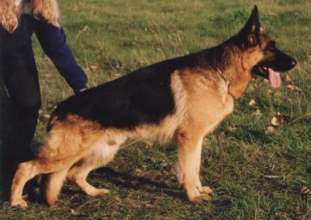 V Hanko von der Nordstraße