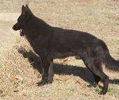 Abendigo Von Haus Vom Katona