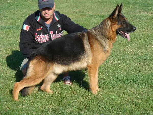 Wallace Von Haus Bura