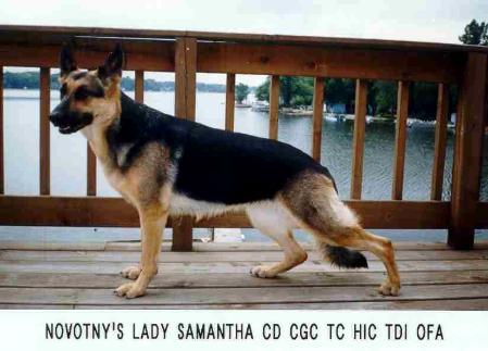 Novotny's Lady Samantha