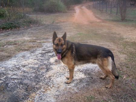 Viktor Von Haus Parker