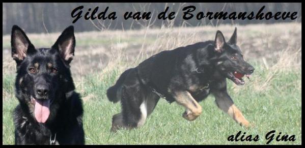 Gilda van de Bormanshoeve