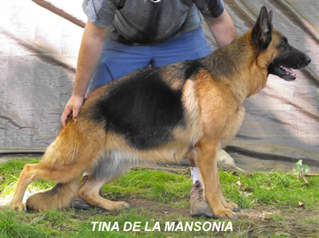 Tina De La Mansonia