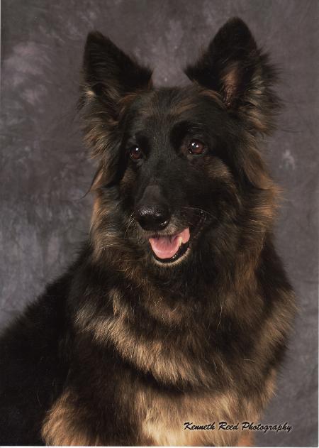 PAM Montana's Mountain Majesty