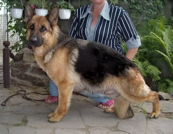 Olvia Arbaits Aristokraten