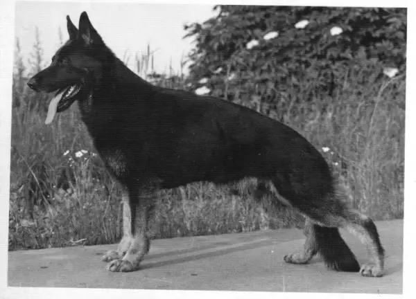 V Aran z Mistrinske doliny CS