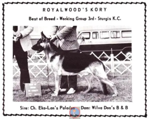 Royalwood's Kory