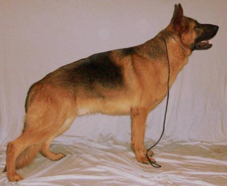 Jasko Vom Haus Paris