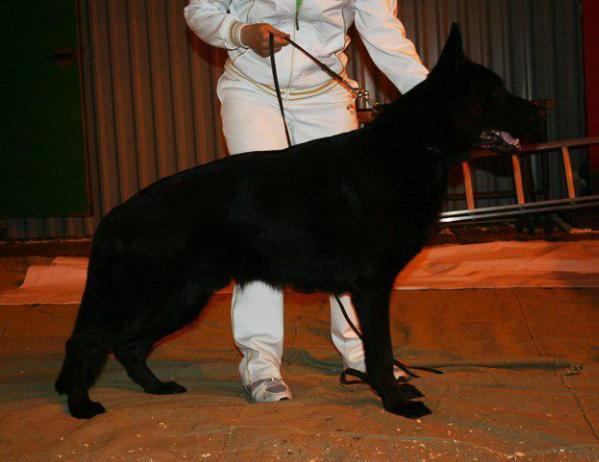 Valter v. Nord Traum