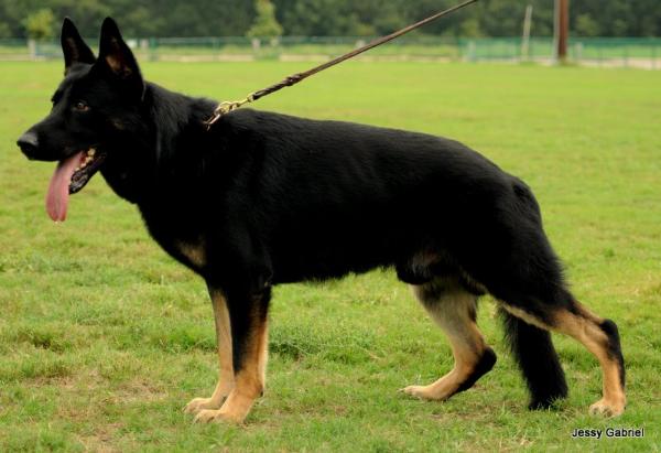 SG Keiko vom Räuber Hotzenplotz