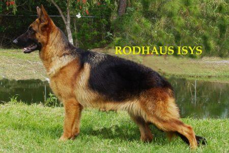Rodhaus Isys