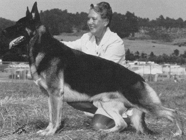 CH (US) Merick's Firestorm