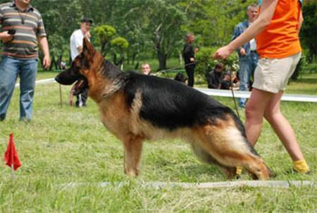 V (UA) Absolut z Azovskogo Berega