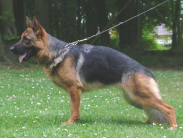 Oxane du Fossé de Norva