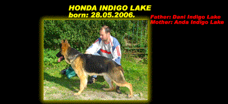 V Honda Indigo Lake