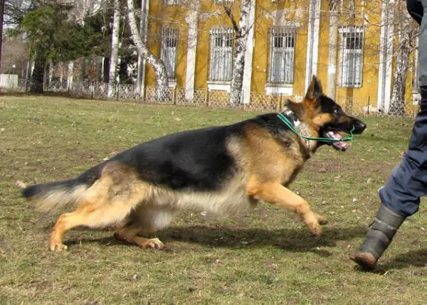 Largo von Arlett