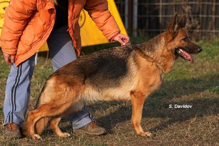 Zilber Wasserfall Dikaya Orhideya