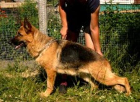 Zilber Wasserfall Uljyana