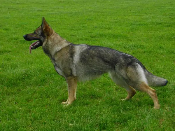 G Ghana vom Hexensturm