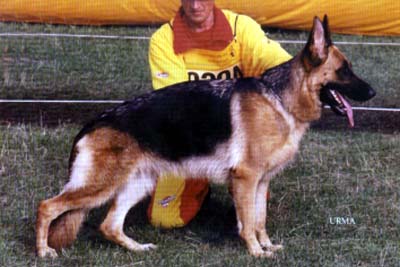SG Fendi della Valcuvia