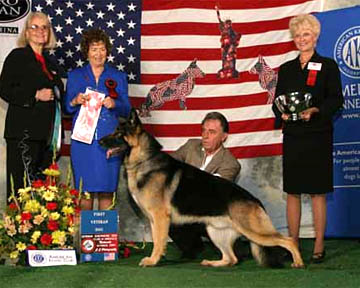 BOM CH Hi-Lo's Stormy Nights