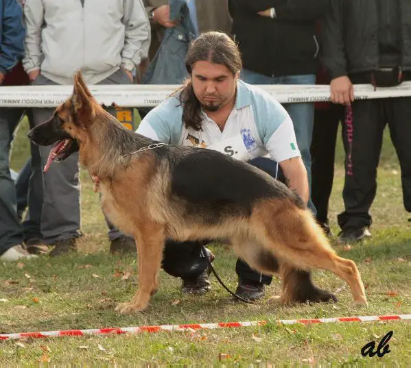 Quiri della Valle dei Rovi