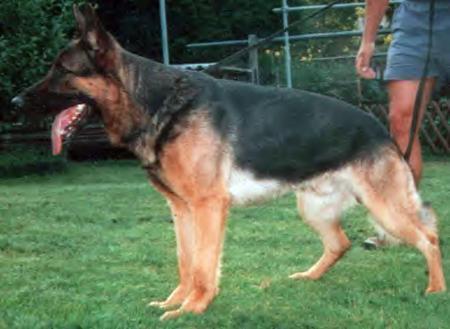 V Mex von der Rohrbrücke