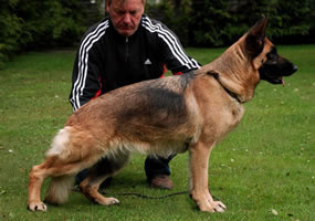 V Zana Feetback (2007)