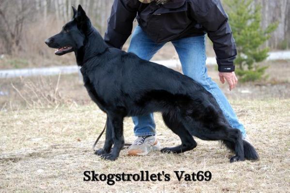 Skogstrollet's Vat 69