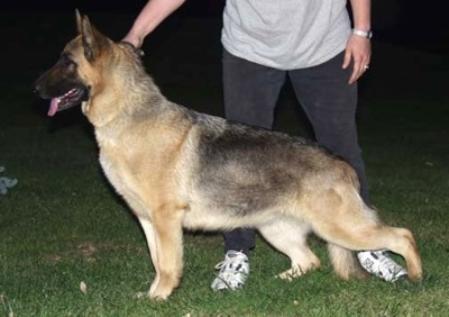 Melry's Summer Seduction, HIC