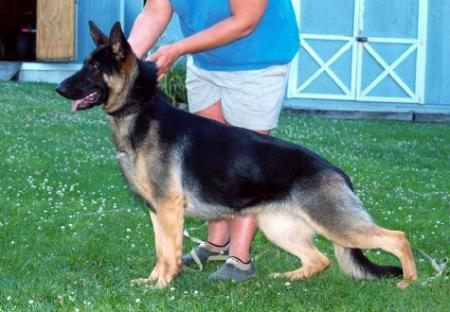 Lindon's Simply Charming