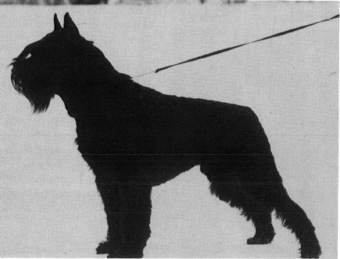 Dojan v. Breitenstein