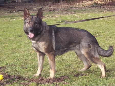 Brenda von Diablo's Own