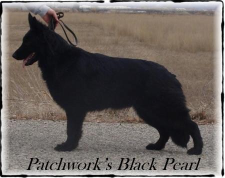 Patchwork's Black Pearl