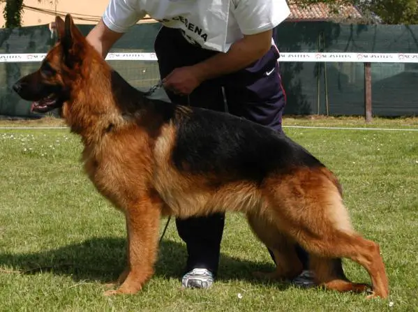 Aiko (2003) 04/55604