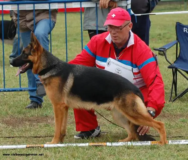 Barcca Von Haus Bura