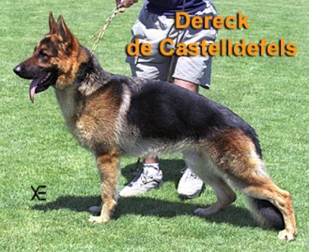 Derek de Castelldefels