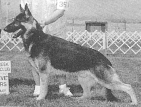 Candia's All That Jazz