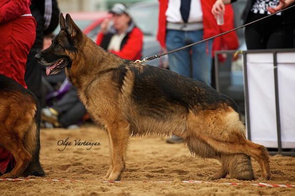 VA1 (BY) 2011 Wittelsbach v. Haus Schlosser
