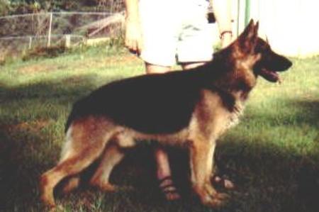 Kelly Von Weiss Blau