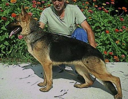 Nance Von Weiss Blau