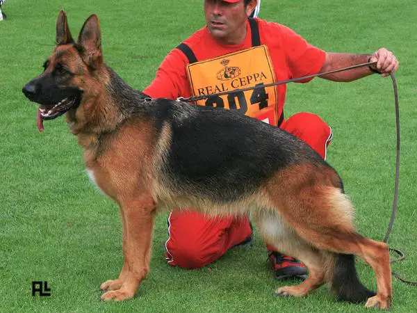 SG Heidy de Simagüe