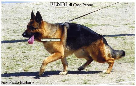 V Fendi di Casa Paone
