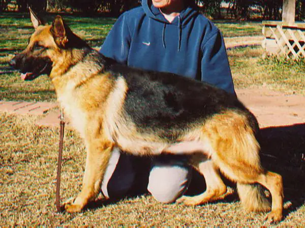 Helen Vom Fleischerheim