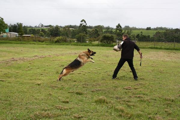 V (SA) Frixo of Santorini