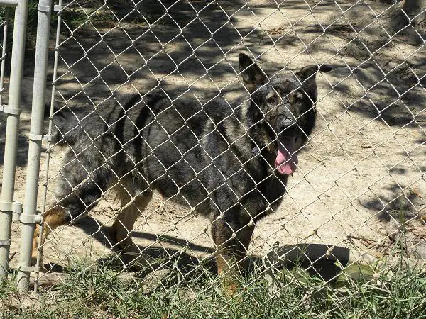 Dakto Kontum Von Haus Aus Bade