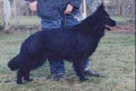 V Banja vom St Arnolder Eck