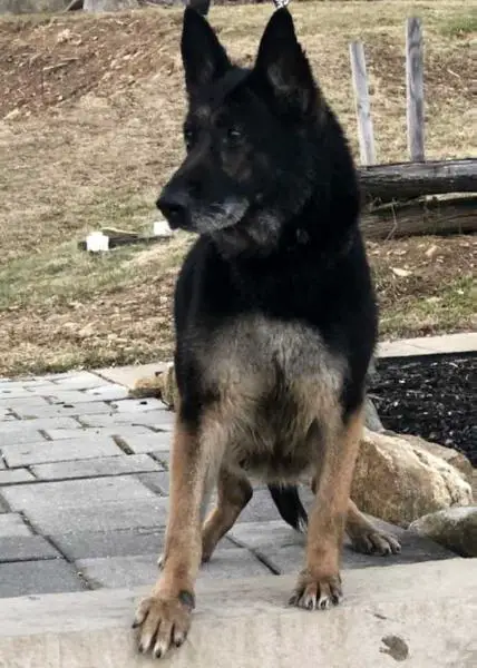 Flexi Von Haus Gierla